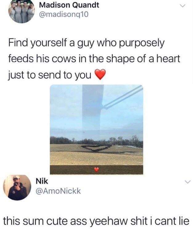 cant even get a text back - Madison Quandt Find yourself a guy who purposely feeds his cows in the shape of a heart just to send to you Nik Nik this sum cute ass yeehaw shit i cant lie