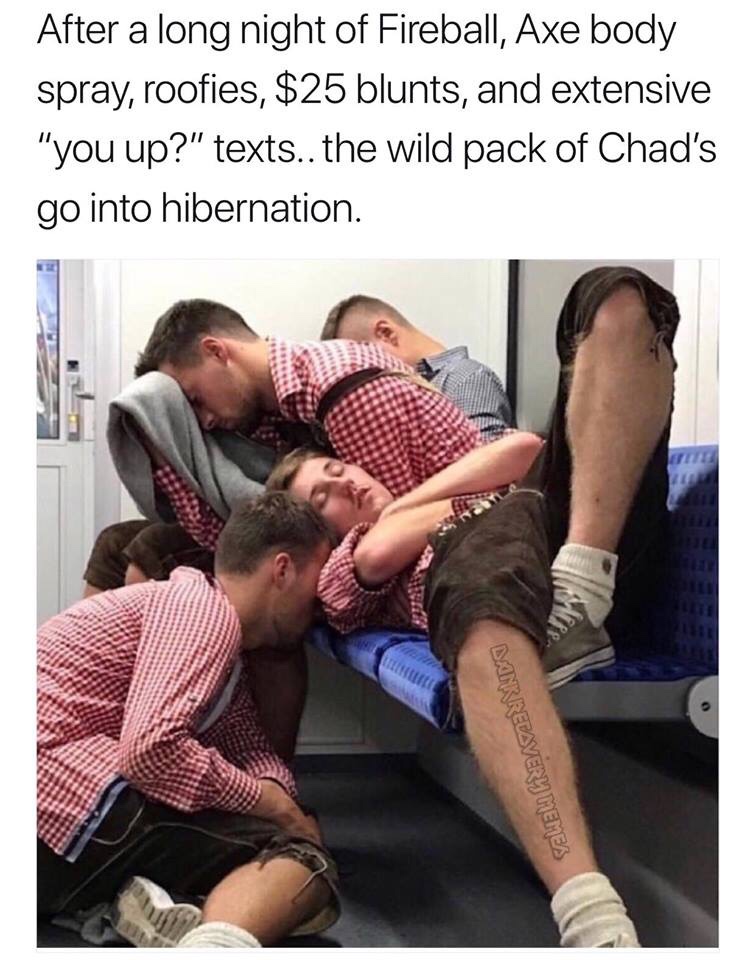 wild pack of chads meme - After a long night of Fireball, Axe body spray, roofies, $25 blunts, and extensive "you up?" texts.. the wild pack of Chad's go into hibernation. Te Bankrecavery Memes