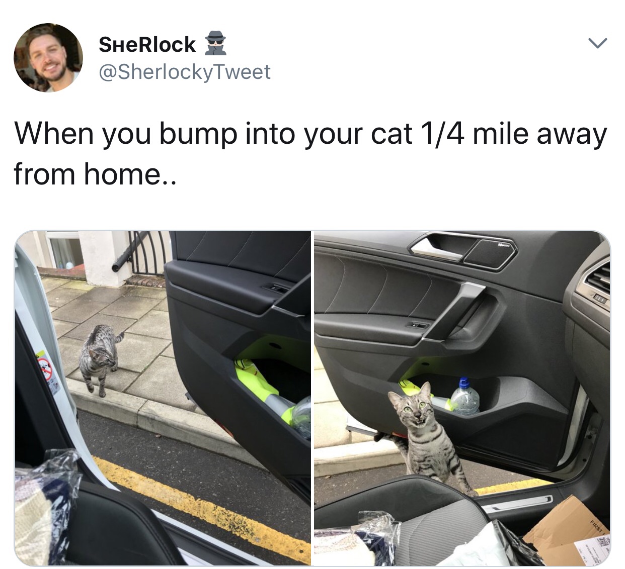 owner finds cat 1 4 mile from home - SHERlock When you bump into your cat 14 mile away from home..