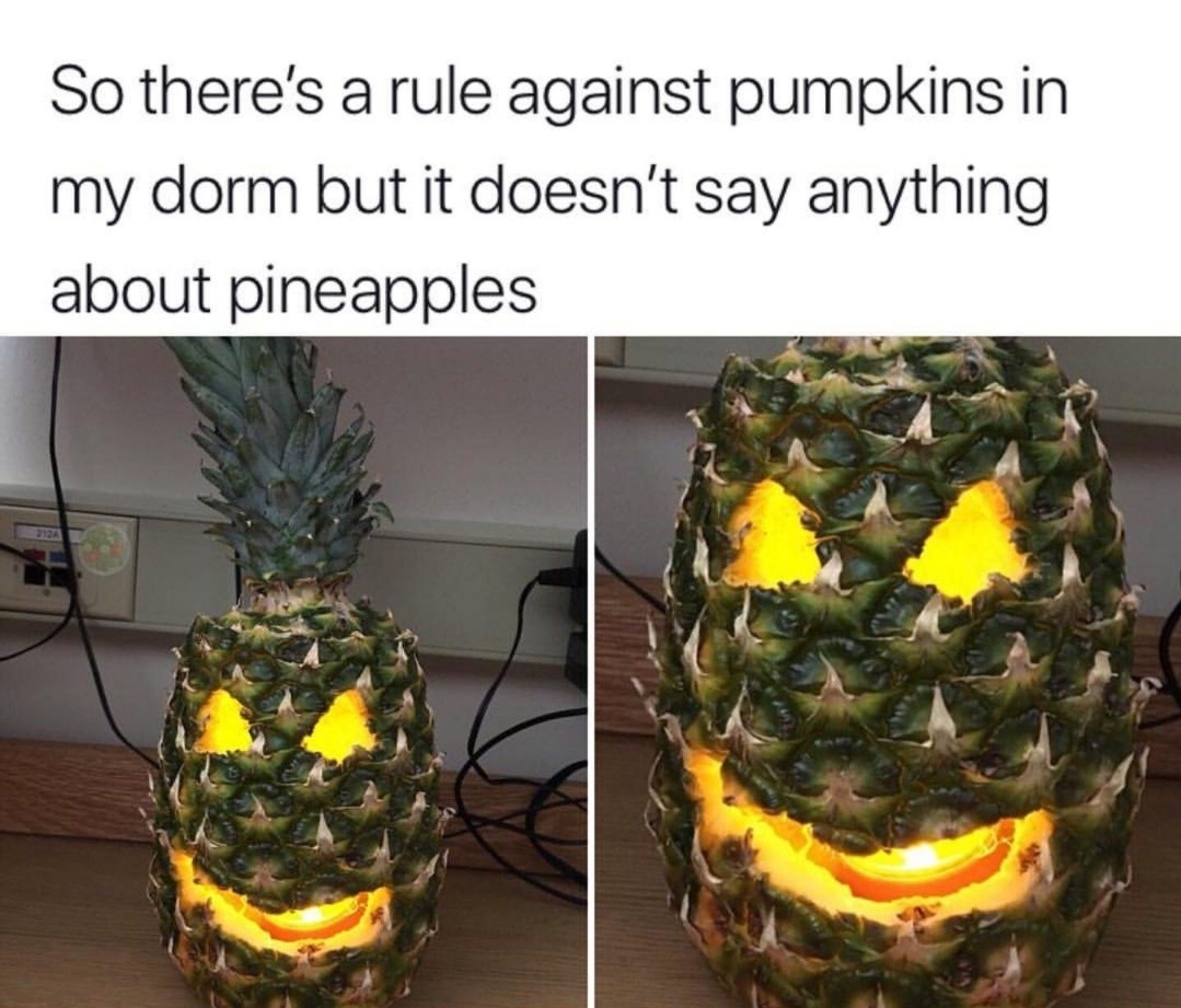 pineapple memes - So there's a rule against pumpkins in my dorm but it doesn't say anything about pineapples