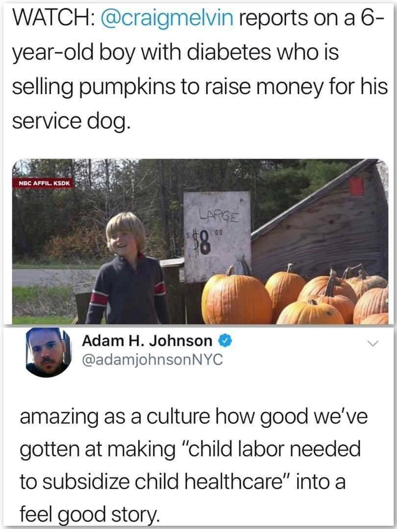 Adam H. Johnson - Watch reports on a 6 yearold boy with diabetes who is selling pumpkins to raise money for his service dog. Nbc Affil. Ksdk Large 00 Adam H. Johnson amazing as a culture how good we've gotten at making "child labor needed to subsidize chi