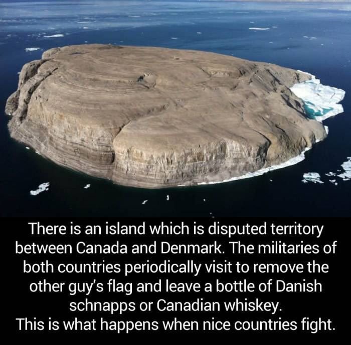 canada denmark island - There is an island which is disputed territory between Canada and Denmark. The militaries of both countries periodically visit to remove the other guy's flag and leave a bottle of Danish schnapps or Canadian whiskey. This is what h