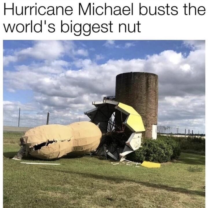 hurricane michael busts the biggest nut - Hurricane Michael busts the world's biggest nut