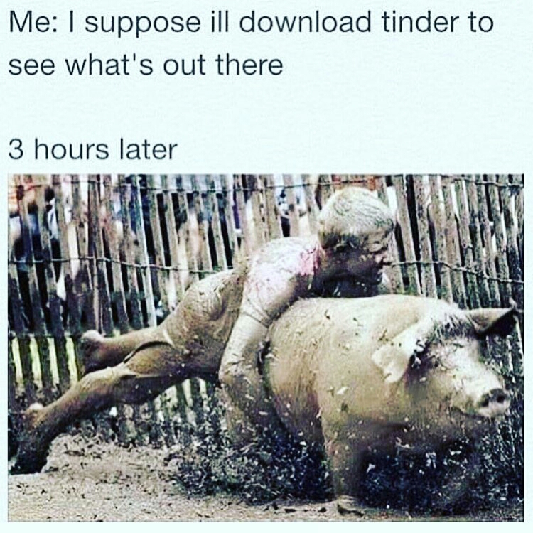 dank tinder memes - Me I suppose ill download tinder to see what's out there 3 hours later