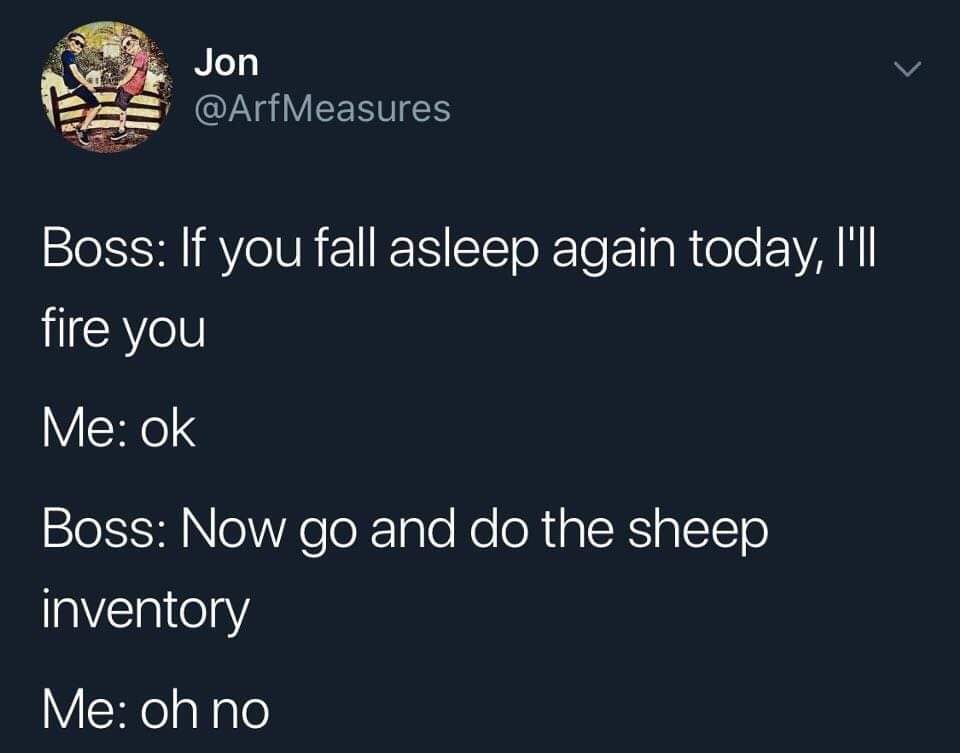 sheep inventory meme - Jon Boss If you fall asleep again today, I'll fire you Me ok Boss Now go and do the sheep inventory Me oh no