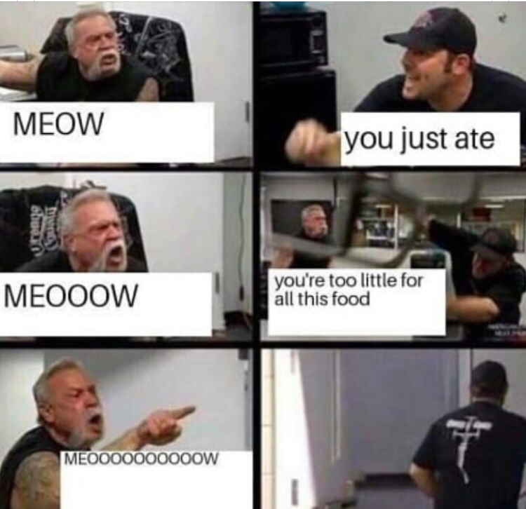 meme hank and connor memes - Meow you just ate one Meooow you're too little for all this food MEO000000000W