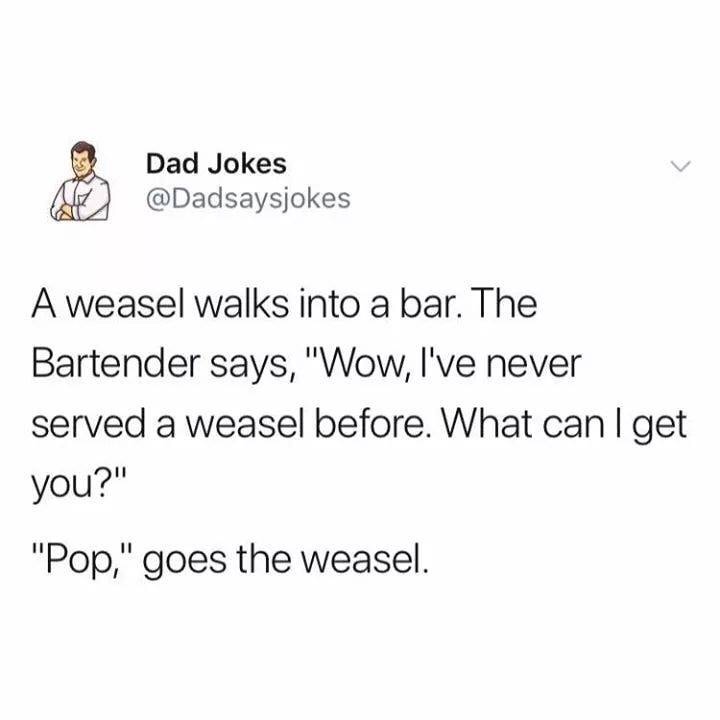 meme pop goes the weasle funeral meme - Dad Jokes Al A weasel walks into a bar. The Bartender says, "Wow, I've never served a weasel before. What can I get you?" "Pop," goes the weasel.