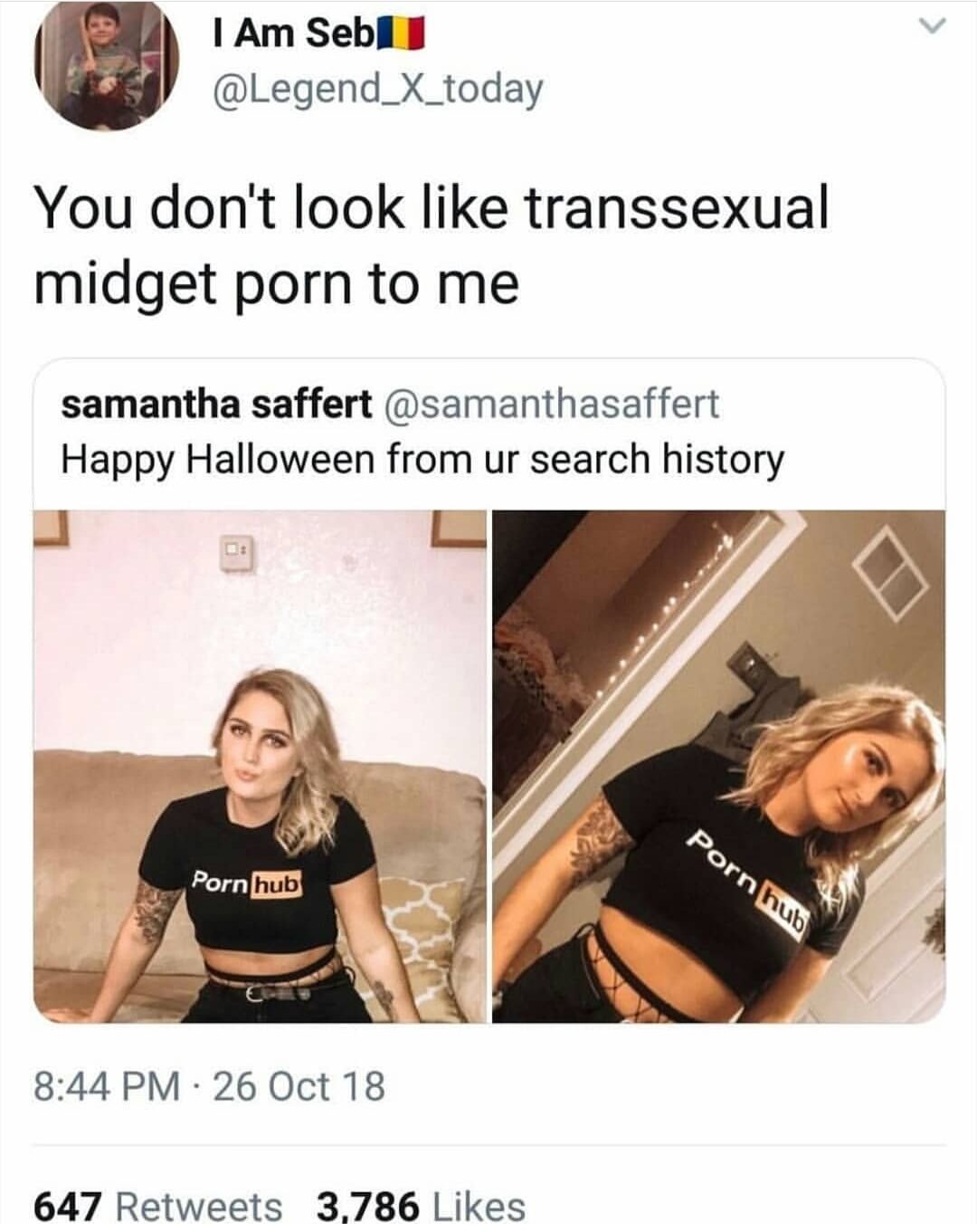 meme tweet of girl who jokes she is writing from his search history and he says you don't look like a transexual midget
