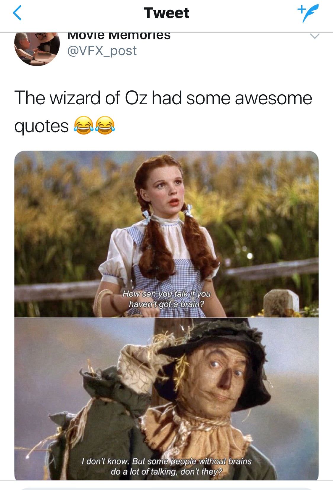 tweet from the Wizard of Oz about people with no brain talking