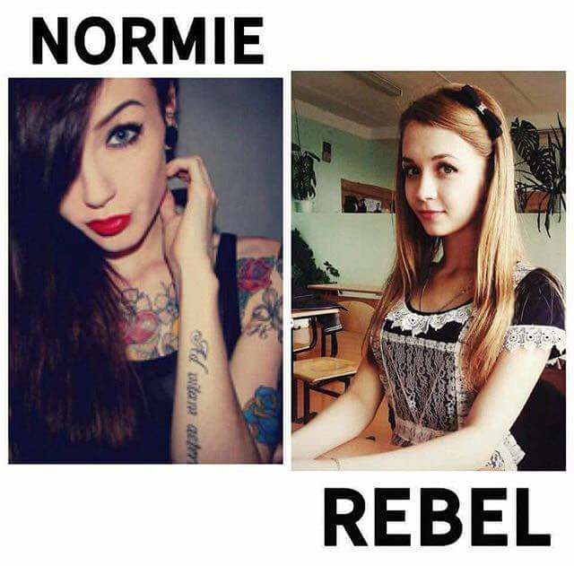 memes - normie rebel
