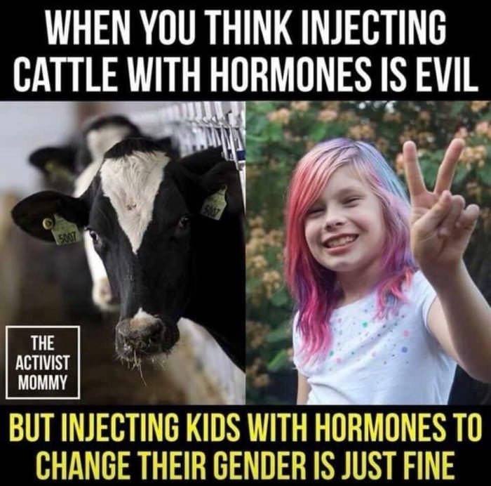 memes - cringe memes - When You Think Injecting Cattle With Hormones Is Evil The Activist Mommy But Injecting Kids With Hormones To Change Their Gender Is Just Fine