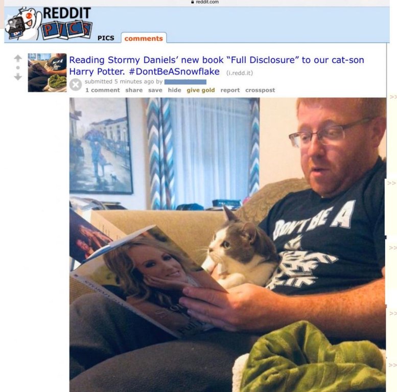memes - stormy daniels reddit - reddit.com Reddit Pics Reading Stormy Daniels' new book "Full Disclosure" to our catson Harry Potter. i.reddit submitted 5 minutes ago by 1 comment save hide give gold report crosspost