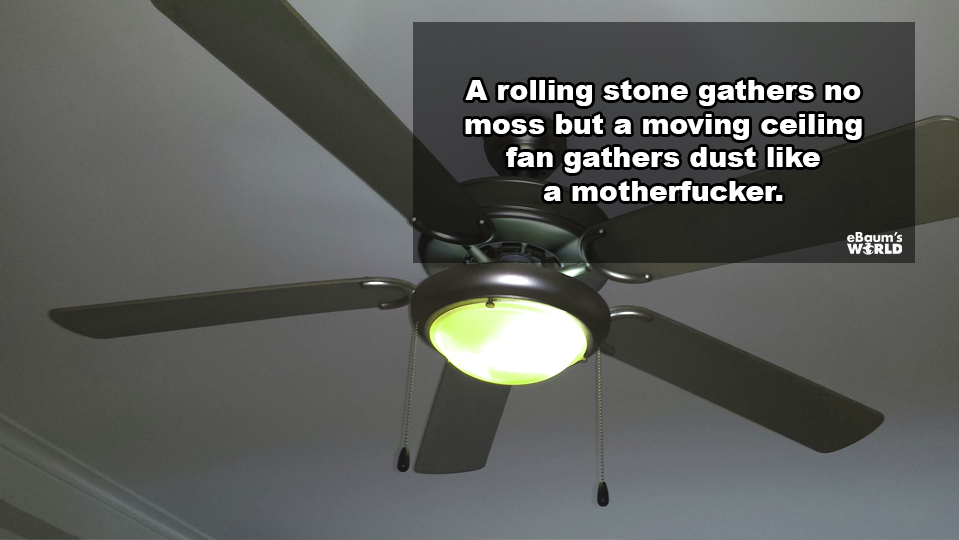 ceiling fan - A rolling stone gathers no moss but a moving ceiling fan gathers dust a motherfucker. eBaum's World