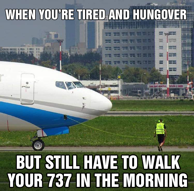 When You'Re Tired And Hungover But Still Have To Walk Your 737 In The Morning