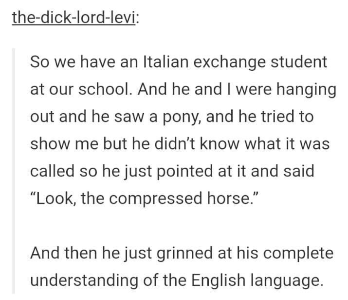 nothing at all - thedicklordlevi So we have an Italian exchange student at our school. And he and I were hanging out and he saw a pony, and he tried to show me but he didn't know what it was called so he just pointed at it and said Look, the compressed ho