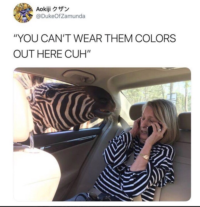 you can t wear those colors cuh - Aokiji Zamunda "You Can'T Wear Them Colors Out Here Cuh"