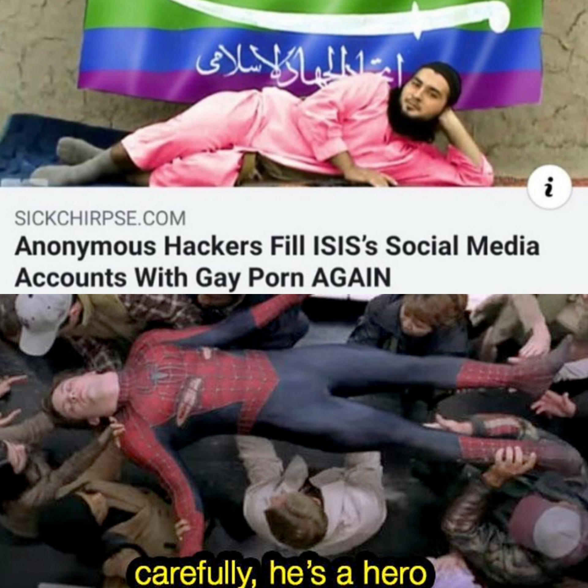 Meme - 'N Sickchirpse.Com Anonymous Hackers Fill Isis's Social Media Accounts With Gay Porn Again carefully, he's a hero