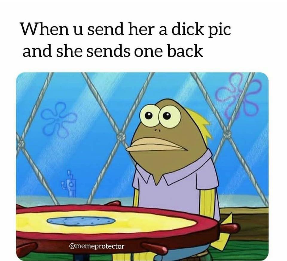 spongebob fish - When u send her a dick pic and she sends one back