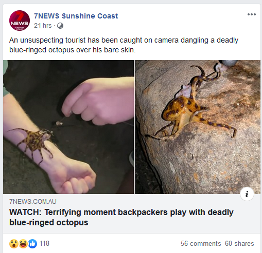jaw - 7NEWS Sunshine Coast News 21 hrs An unsuspecting tourist has been caught on camera dangling a deadly blueringed octopus over his bare skin. 7NEWS.Com.Au Watch Terrifying moment backpackers play with deadly blueringed octopus 118 56 60