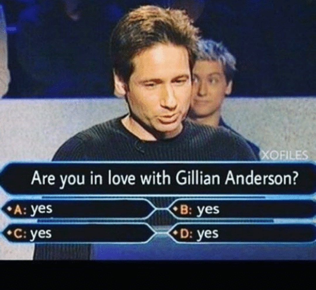 photo caption - Xofiles Are you in love with Gillian Anderson? A yes C yes B yes D yes