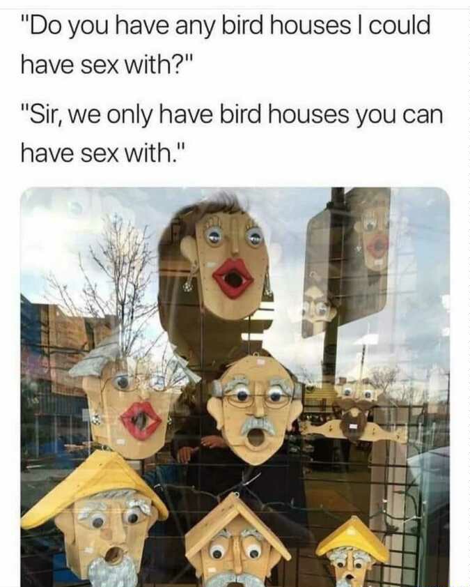 do you have any bird houses i could have sex with -