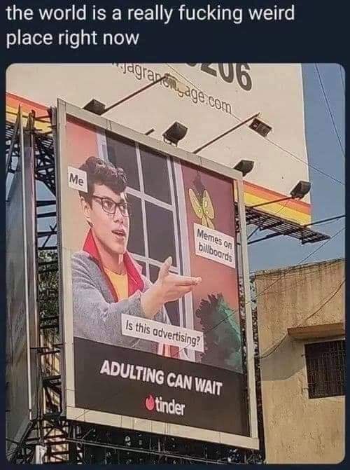 tinder meme billboard - the world is a really fucking weird place right now Jagranenyage.com o Memes on billboards Is this advertising Adulting Can Wait Otinder