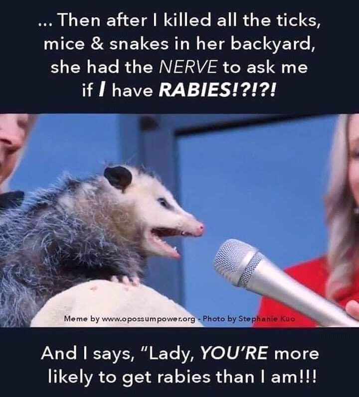 Then after I killed all the ticks, mice & snakes in her backyard, she had the Nerve to ask me if I have Rabies!?!?! Meme by power.org Photo by Stephanieku And I says,