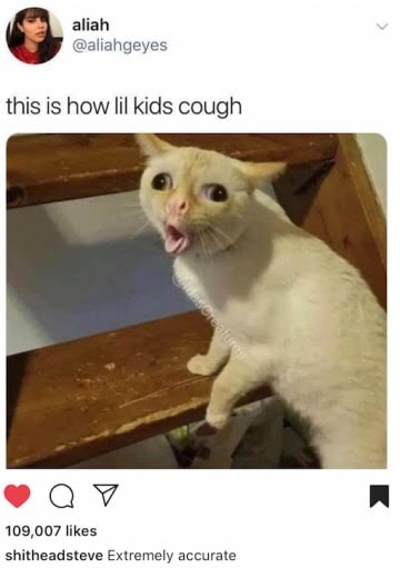 little kids cough meme - aliah this is how lil kids cough Sorcar ya7 109,007 shitheadsteve Extremely accurate
