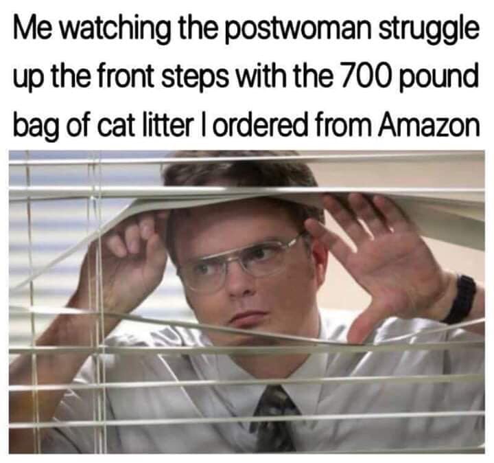 dwight schrute funny - Me watching the postwoman struggle up the front steps with the 700 pound bag of cat litter I ordered from Amazon