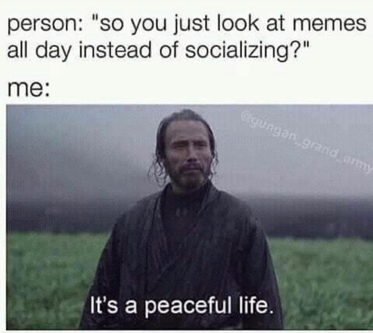 so you just look at memes all day - person "so you just look at memes all day instead of socializing?" me zoungan grand army It's a peaceful life.