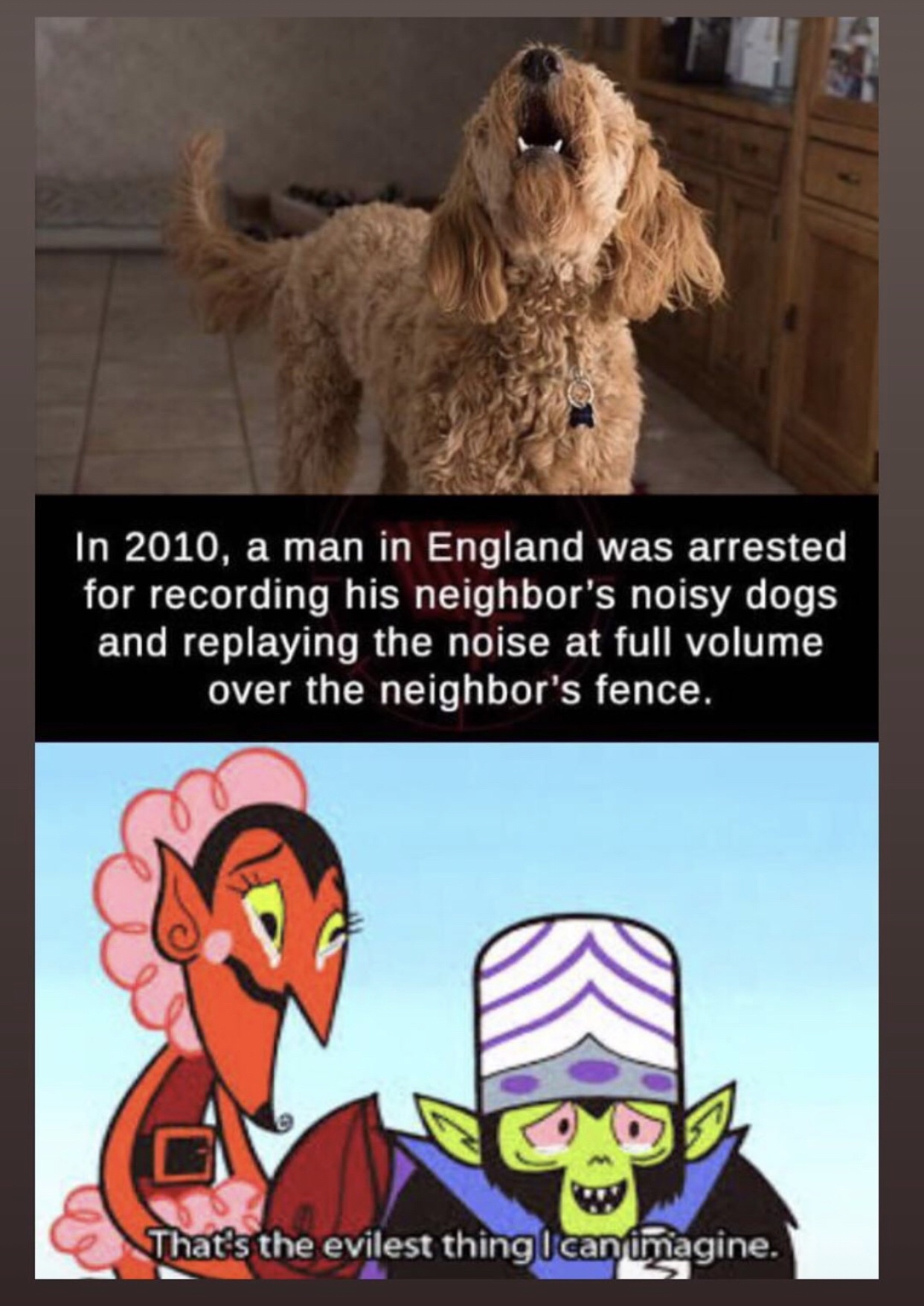 that's the evilest thing i can imagine meme - In 2010, a man in England was arrested for recording his neighbor's noisy dogs and replaying the noise at full volume over the neighbor's fence. That's the evilest thing I can imagine.