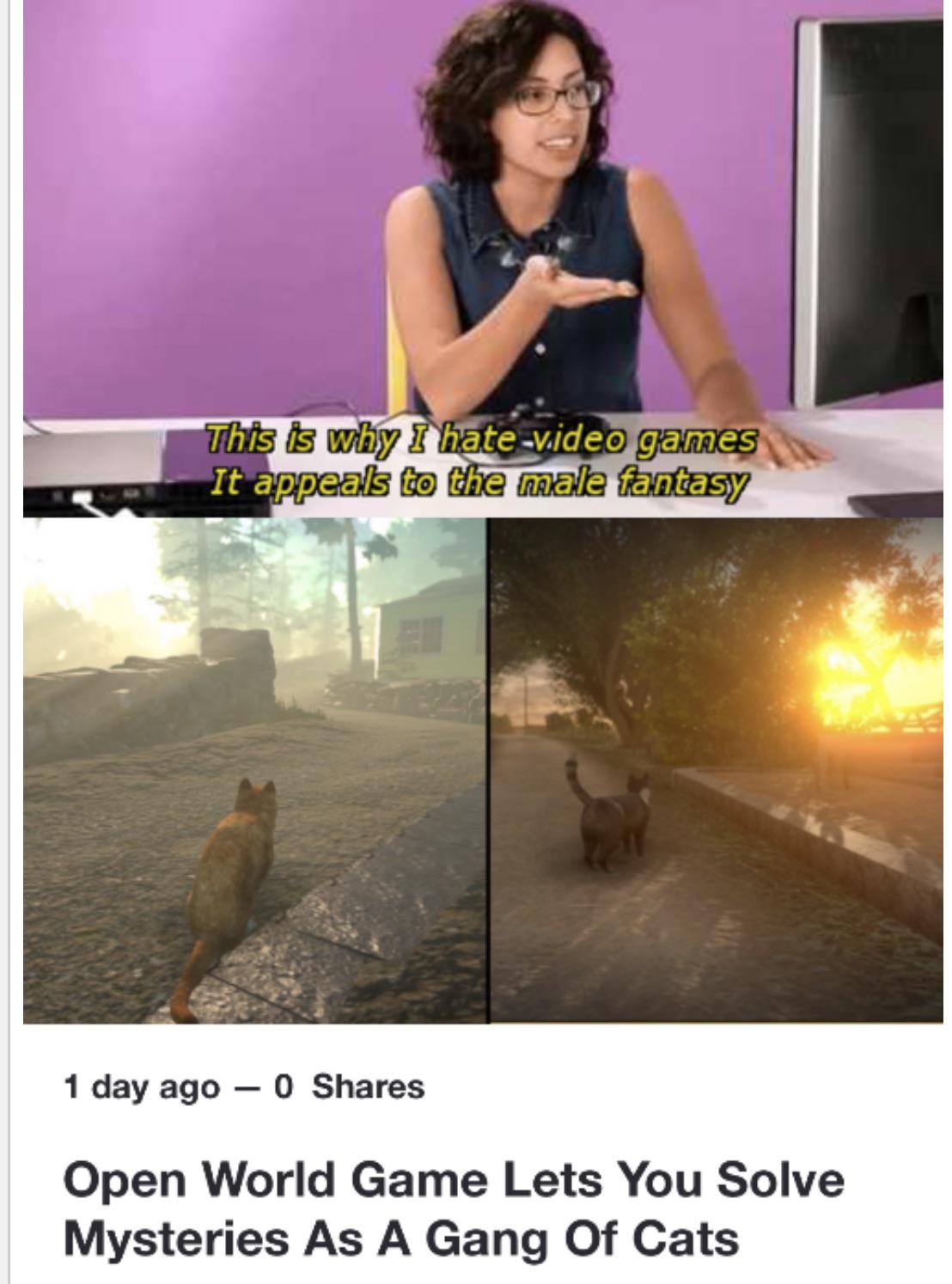 male fantasy meme - This is why I hate video games It appeals to the male fantasy 1 day ago 0 Open World Game Lets You Solve Mysteries As A Gang Of Cats