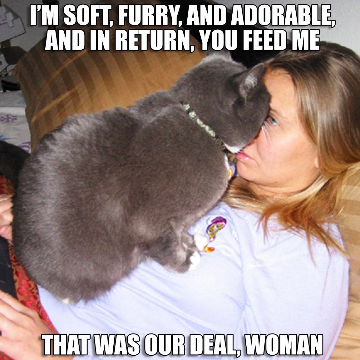 cat human meme - I'M Soft, Furry, And Adorable, And In Return, You Feed Me That Was Our Deal, Woman