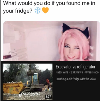 belle delphine meme - What would you do if you found me in your fridge? Excavator vs refrigerator Razor Wire views 8 years ago Crushing a old fridge with the volvo