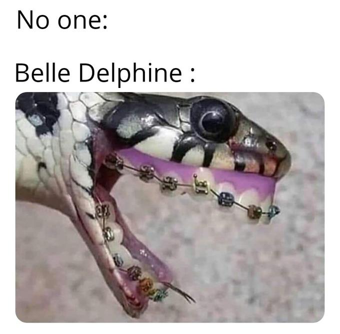 snake with braces