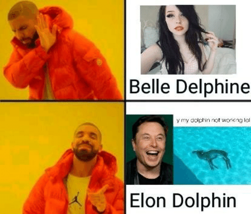 physics memes - Belle Delphine y my dolphin not working lal Elon Dolphin