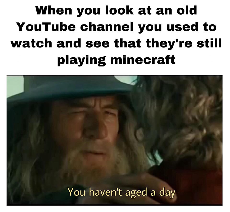 photo caption - When you look at an old YouTube channel you used to watch and see that they're still playing minecraft You haven't aged a day