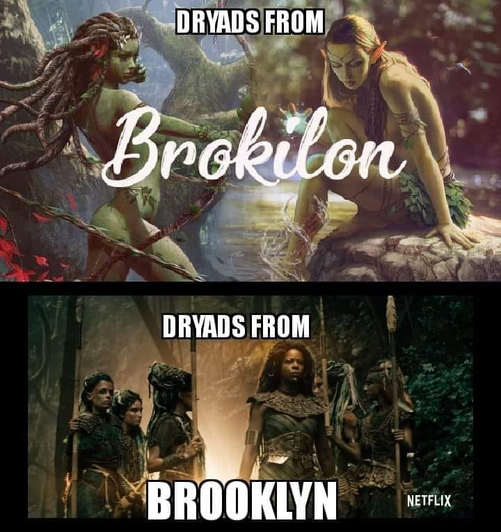 witcher memes - pc game - Dryads From 2 Brokilon Dryads From Y Brooklyn Netflix