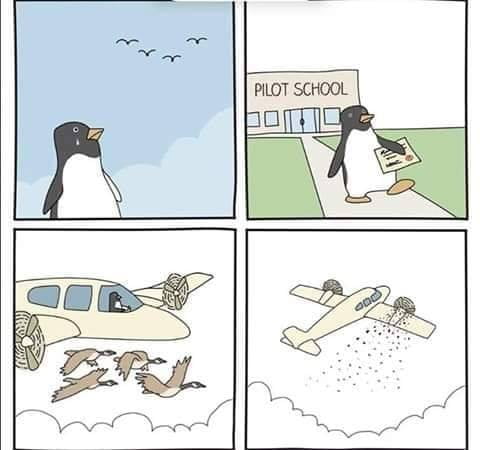 Penguin - Pilot School