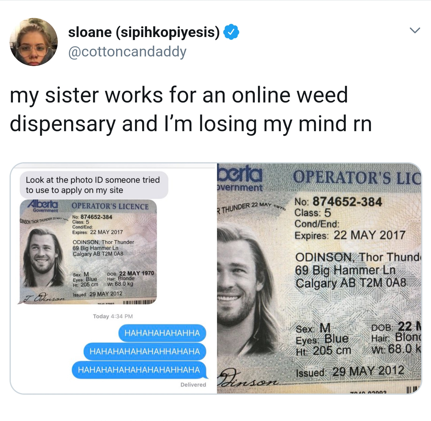 identity document - sloane sipihkopiyesis my sister works for an online weed dispensary and I'm losing my mind rn berta Operator'S Lic svernment Thunder 22 Look at the photo Id someone tried to use to apply on my site Operator'S Licence 874552334 Cast ODI