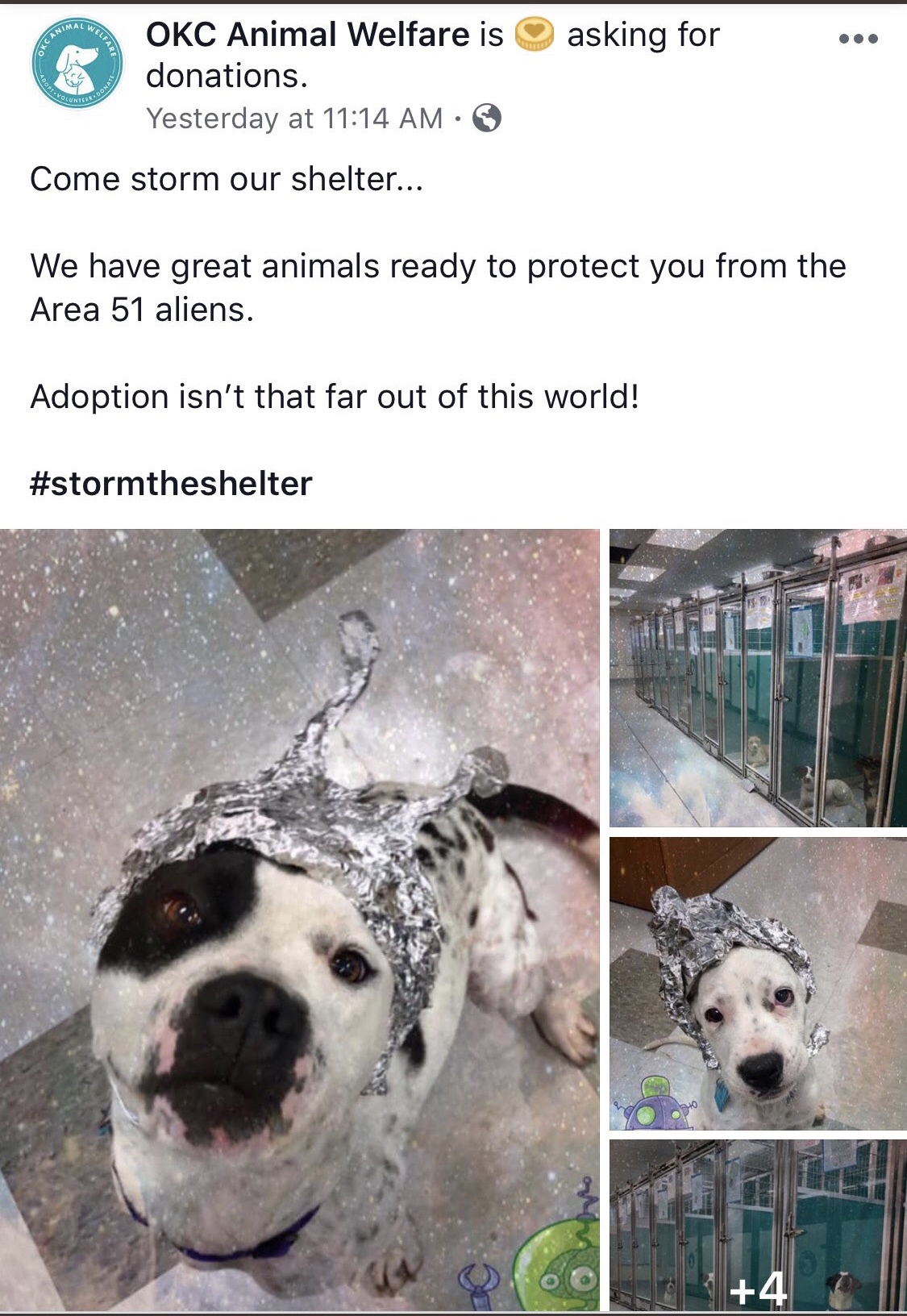 snout - asking for Okc Animal Welfare is donations. Yesterday at Come storm our shelter... We have great animals ready to protect you from the Area 51 aliens. Adoption isn't that far out of this world!