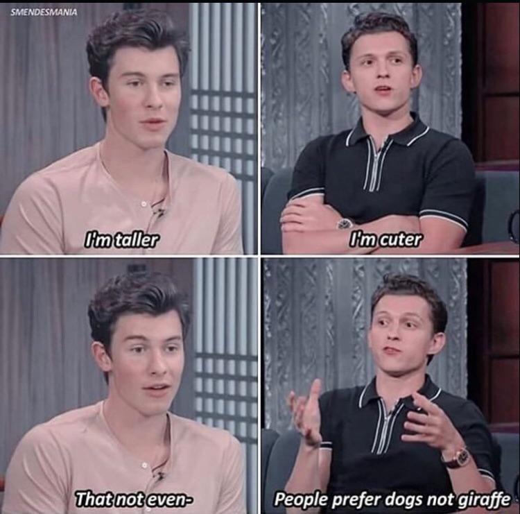 Tom Holland - Smendesmania I'm taller I'm cuter Ti That not even People prefer dogs not giraffe