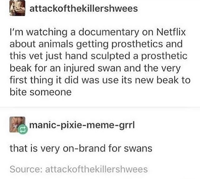 document - The attackofthekillershwees I'm watching a documentary on Netflix about animals getting prosthetics and this vet just hand sculpted a prosthetic beak for an injured swan and the very first thing it did was use its new beak to bite someone…
