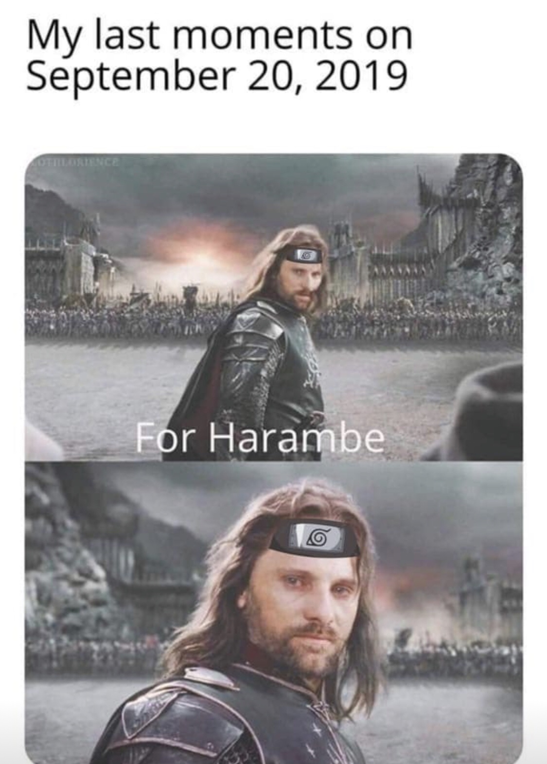memes september 2019 - My last moments on For Harambe
