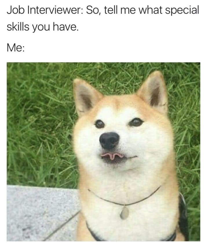 cute animal memes - Job Interviewer So, tell me what special skills you have. Me