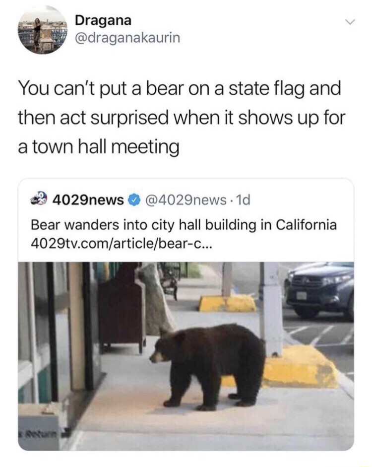 bear wanders into a city hall building - Dragana You can't put a bear on a state flag and then act surprised when it shows up for a town hall meeting 4029news . 1d Bear wanders into city hall building in California 4029tv.comarticlebearC...
