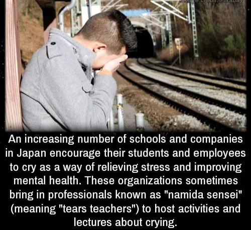 korean homeless boy - Led Dui. Pada An increasing number of schools and companies in Japan encourage their students and employees to cry as a way of relieving stress and improving mental health. These organizations sometimes bring in professionals known a