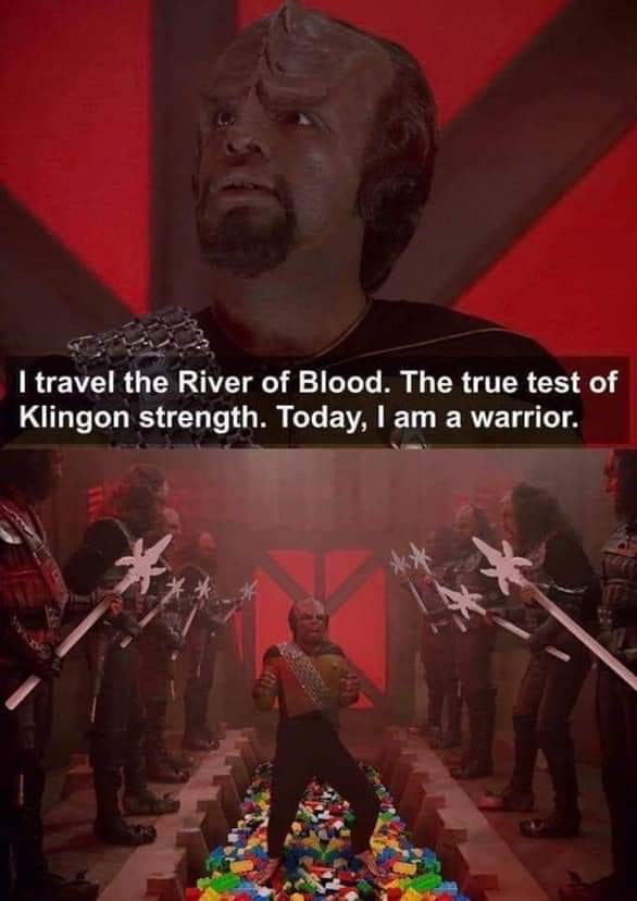 poster - I travel the River of Blood. The true test of Klingon strength. Today, I am a warrior.