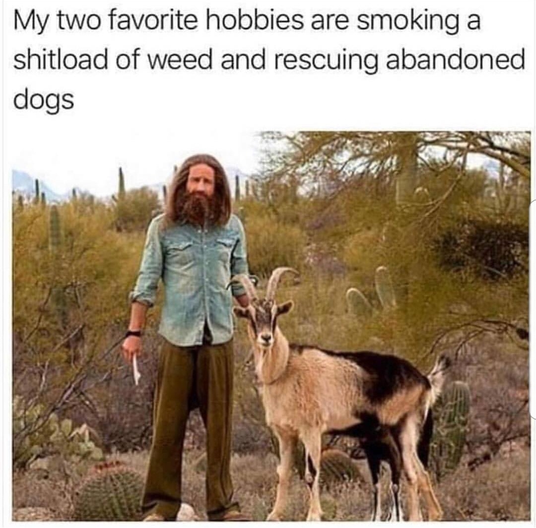 smoking weed and rescuing dogs - My two favorite hobbies are smoking a shitload of weed and rescuing abandoned dogs