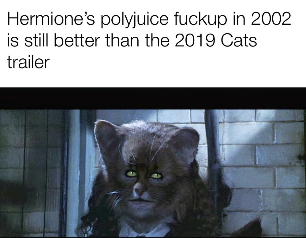 hermione's polyjuice fuckup - Hermione's polyjuice fuckup in 2002 is still better than the 2019 Cats trailer